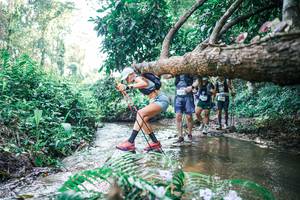 BIB: 
                            <button type="button" onclick="openModal(25450509)" class="btn btn-primary btn-sm float-right btn-popup" data-toggle="modal" data-target=".modal-high-quality">
                        <i class="fas fa-shopping-cart"></i> Add to Cart
                    </button>
                                            <button type="button" onclick="isThisMe(25450509, true)" class="btn btn-success btn-sm float-right btn-popup btn-isme hidden" data-toggle="tooltip" data-placement="bottom" title="นี่คือรูปของคุณใช่ไหม คลิกที่นี่เพื่อเอาเข้าอัลบั้ม">
                        <i class="fas fa-plus"></i> Add to album
                    </button>
                    <button type="button" onclick="isThisMe(25450509, false)" class="btn btn-warning btn-sm float-right btn-popup btn-isnotme hidden">
                        <i class="fas fa-ban"></i> Remove from album
                    </button>